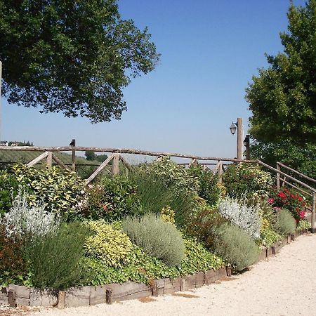 Tenuta Colverano Montefalco Eksteriør bilde