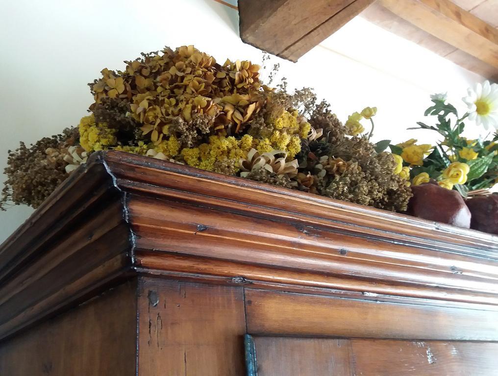 Tenuta Colverano Montefalco Eksteriør bilde