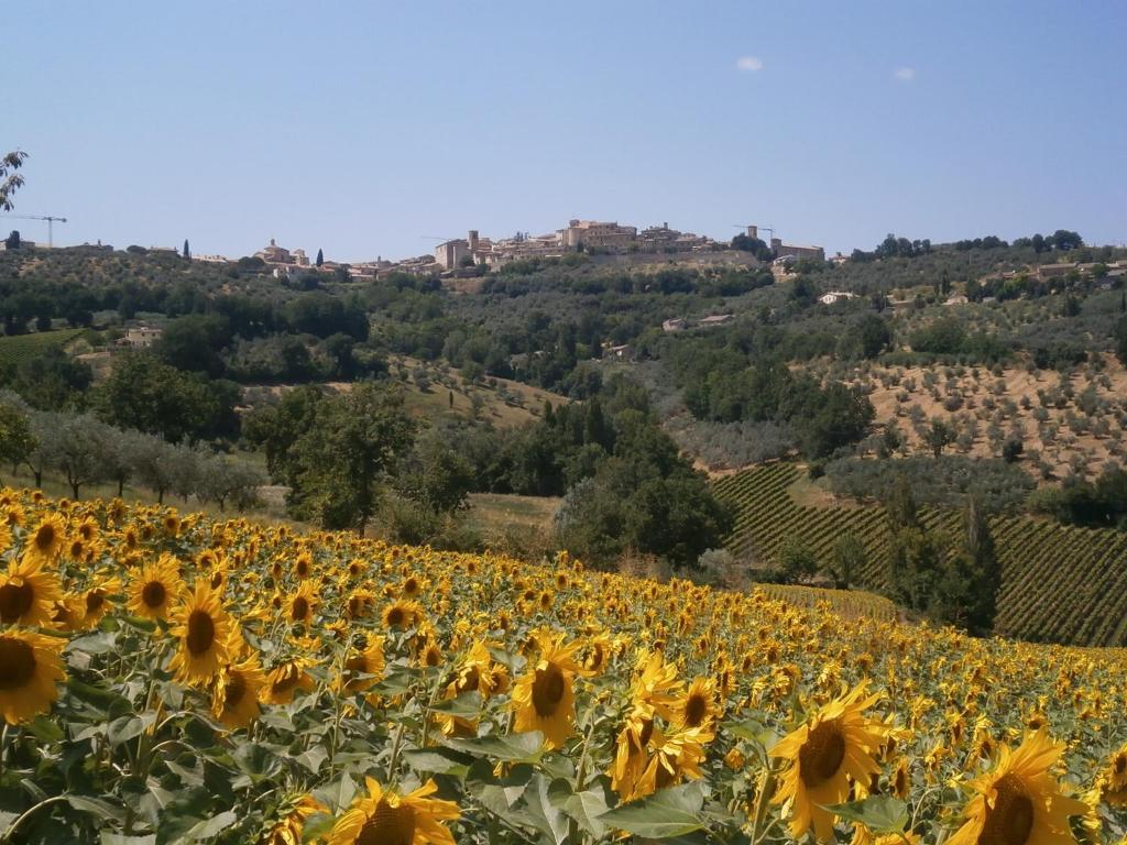 Tenuta Colverano Montefalco Eksteriør bilde