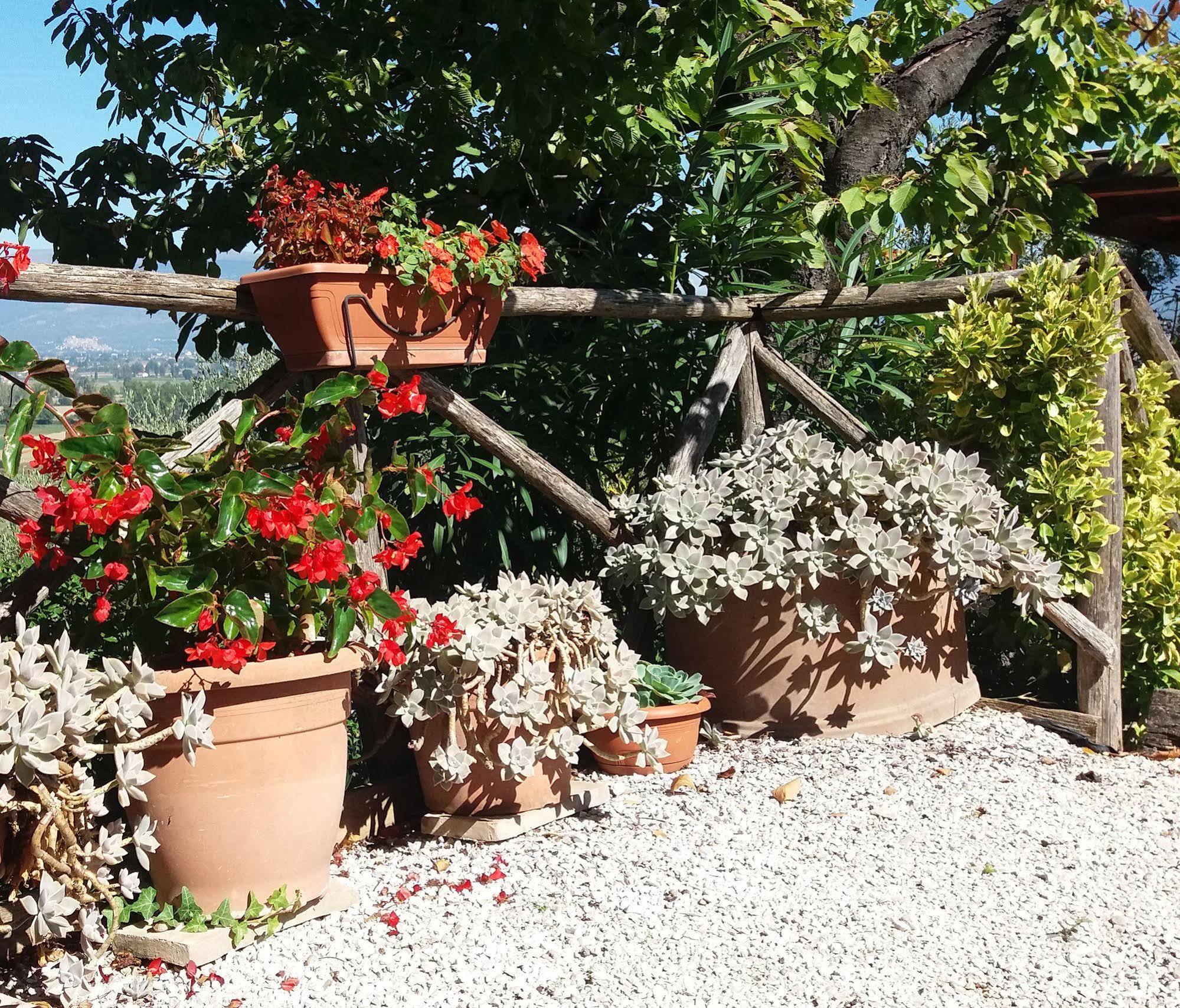Tenuta Colverano Montefalco Eksteriør bilde