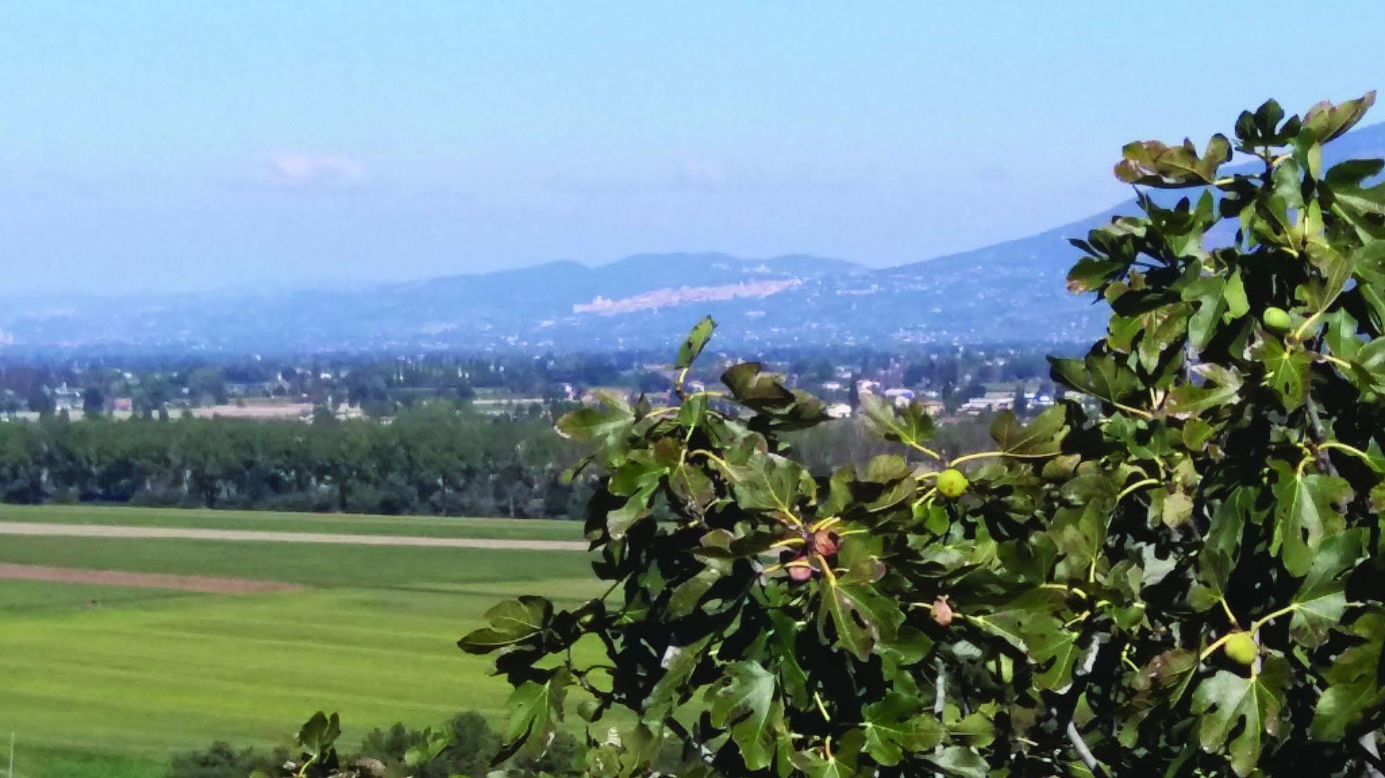 Tenuta Colverano Montefalco Eksteriør bilde