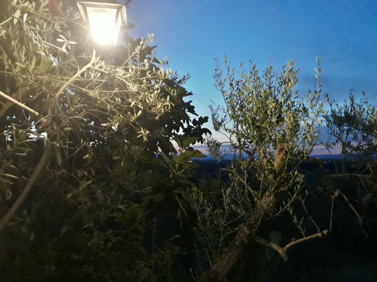 Tenuta Colverano Montefalco Eksteriør bilde